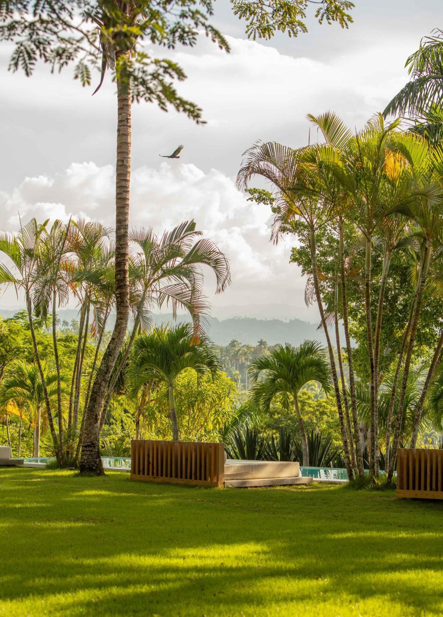 Oya - Wellness Eco Resort & Retreat Jamao al Norte Ngoại thất bức ảnh